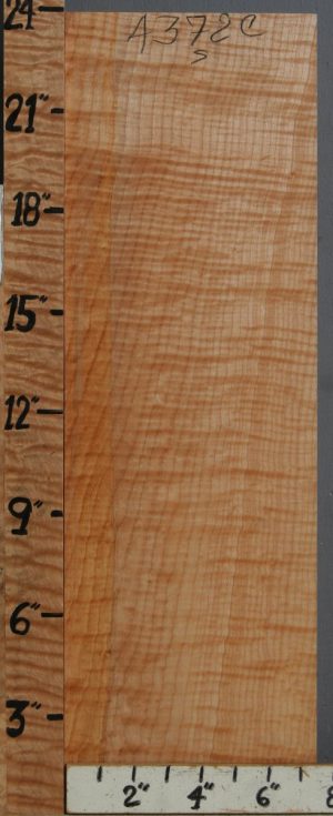 Musical Curly Maple Billet 7"1/2 X 23" X 1"7/8 (NWT-4372C)