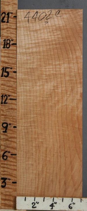 Musical Curly Maple Billet 7" X 21" X 2"1/8 (NWT-4402C)