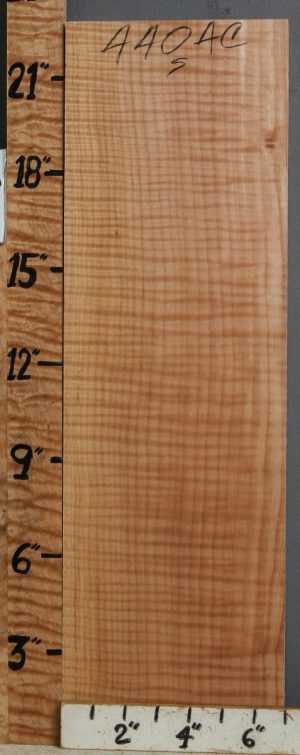 Musical Curly Maple Billet 6"7/8 X 22" X 1"5/8 (NWT-4404C)