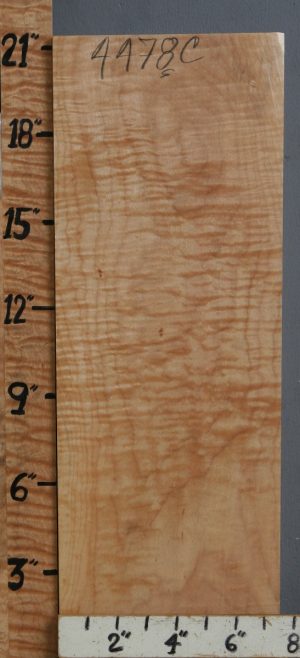 Musical Curly Maple Billet 7"1/2 X 21" X 2"3/8 (NWT-4478C)