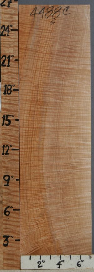 Musical Curly Maple Billet 7"1/8 X 26" X 2"5/8 (NWT-4488C)