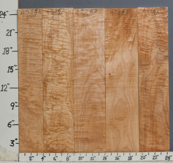 AAAAA CURLY MAPLE 5 BOARD SET 24"1/4 X 24" X 4/4 (NWTB4536)