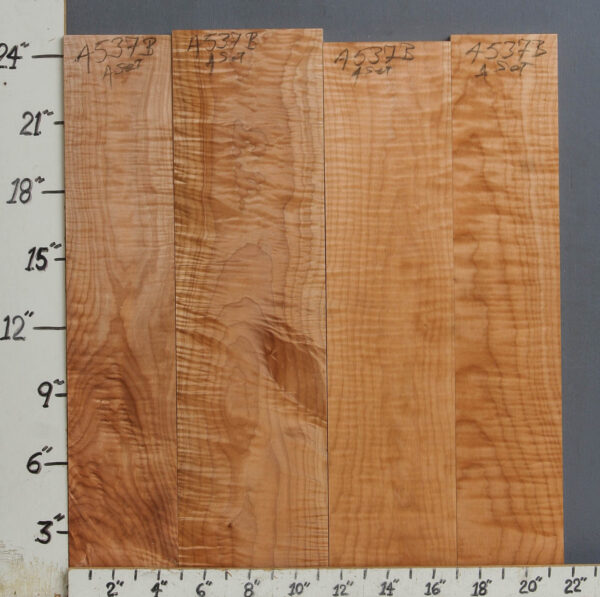 AAAAA CURLY MAPLE 4 BOARD SET 21"1/2 X 24" X 4/4 (NWTB4537)