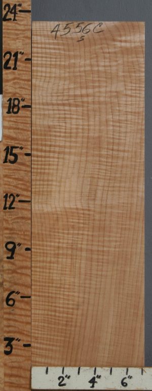 Musical Curly Maple Billet 7"1/8 X 23" X 1"3/4 (NWT-4556C)