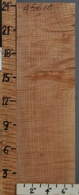 Musical Curly Maple Billet 7"3/8 X 24" X 2" (NWT-4561C)