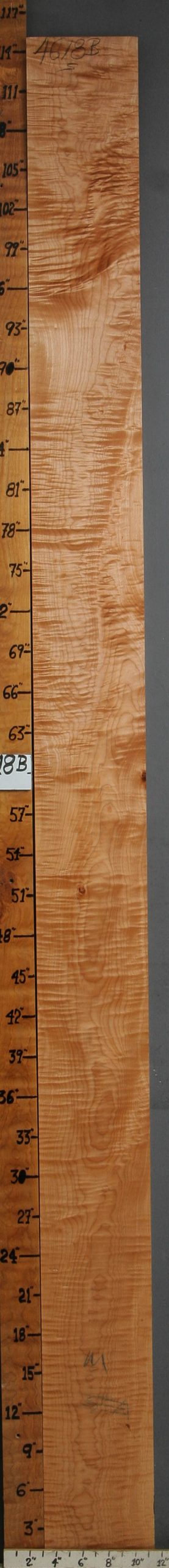 MUSICAL CURLY MAPLE LUMBER 8"1/4 X 115" X 4/4 (NWTB4618)