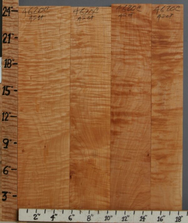 5A Curly Maple 4 Board Set 18"3/4 X 24" X 6/4 (NWT-4620C)