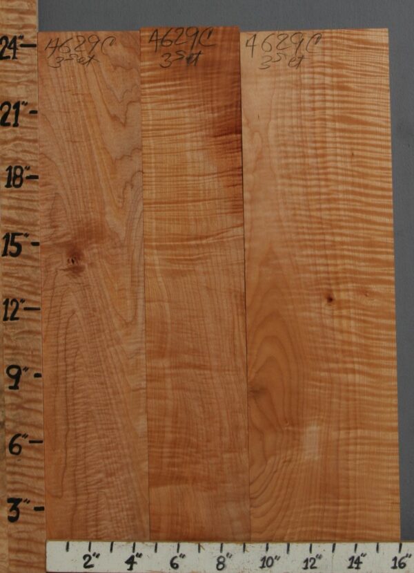 5A Curly Maple 3 Board Set 16"1/8 X 24" X 6/4 (NWT-4629C)