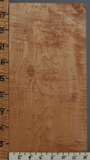 Musical Curly Maple Billet 14"3/8 X 28" X 1"5/8 (NWT-4636C)
