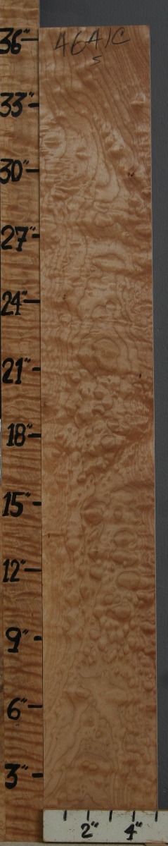 5A Quilted Maple Block 5" X 36" X 1"5/8 (NWT-4641C)