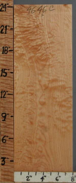 5A Quilted Maple Block 8" X 24" X 1"1/4 (NWT-4646C)