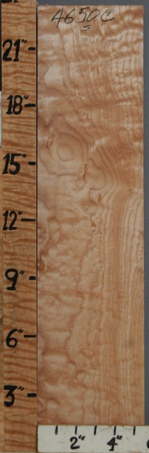 5A Quilted Maple Block 5"1/2 X 23" X 1"3/4 (NWT-4650C)