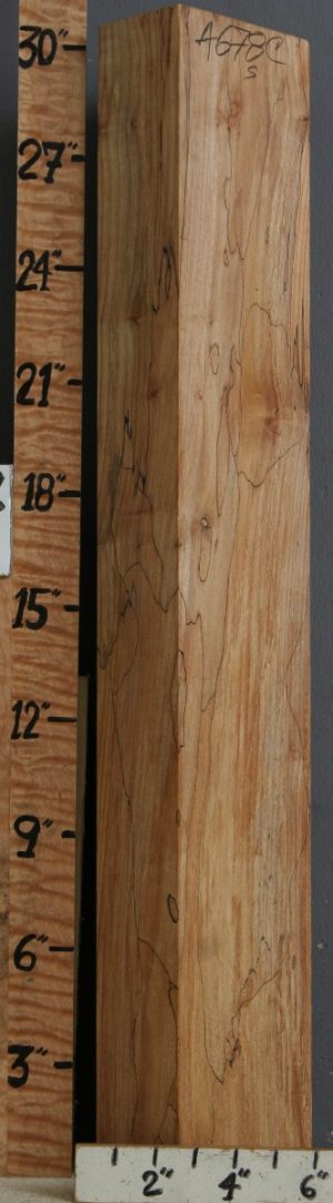 5A Spalted Maple Lumber 5"1/4 X 30" X 2"7/8 (NWT-4678C)