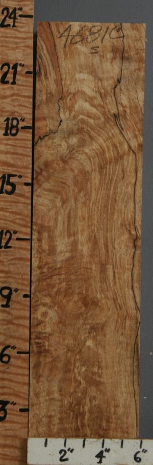 5A Spalted Quilted Maple Block 5"3/4 X 23" X 2"5/8 (NWT-4681C)