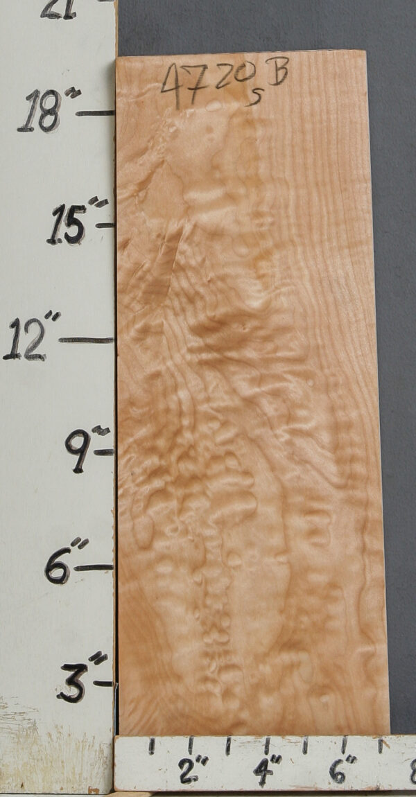 AAAAA QUILTED MAPLE BLOCK 6"5/8 X 19"1/4 X 1"1/4 (NWT-B4720) - Image 2