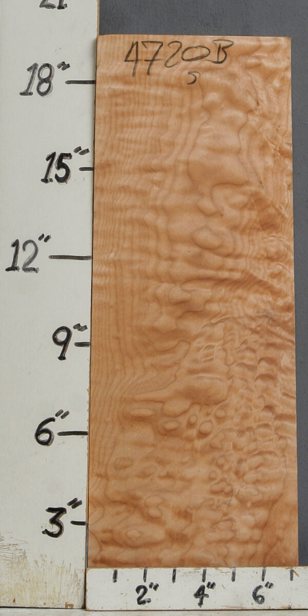 AAAAA QUILTED MAPLE BLOCK 6"5/8 X 19"1/4 X 1"1/4 (NWT-B4720)