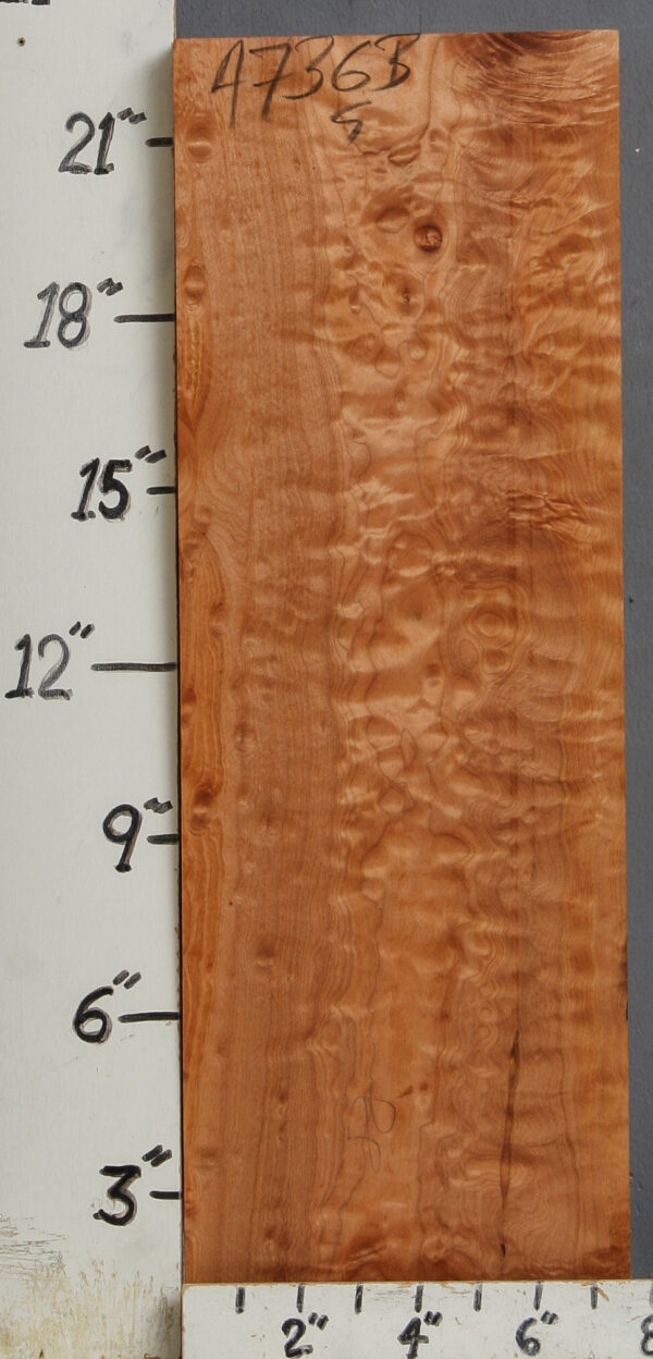 AAAAA QUILTED MAPLE BLOCK 7"1/2 X 22"1/2 X 1"7/8 (NWT-B4736) - Image 2