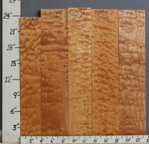 AAAAA QUILTED MAPLE 5 BOARD SET 23"1/2 X 24" X 4/4 (NWT-B4744)