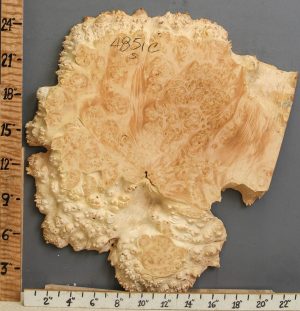 5A Burl Spalted Maple Lumber with Live Edge 22" X 24" X 2" (NWT-4851C)