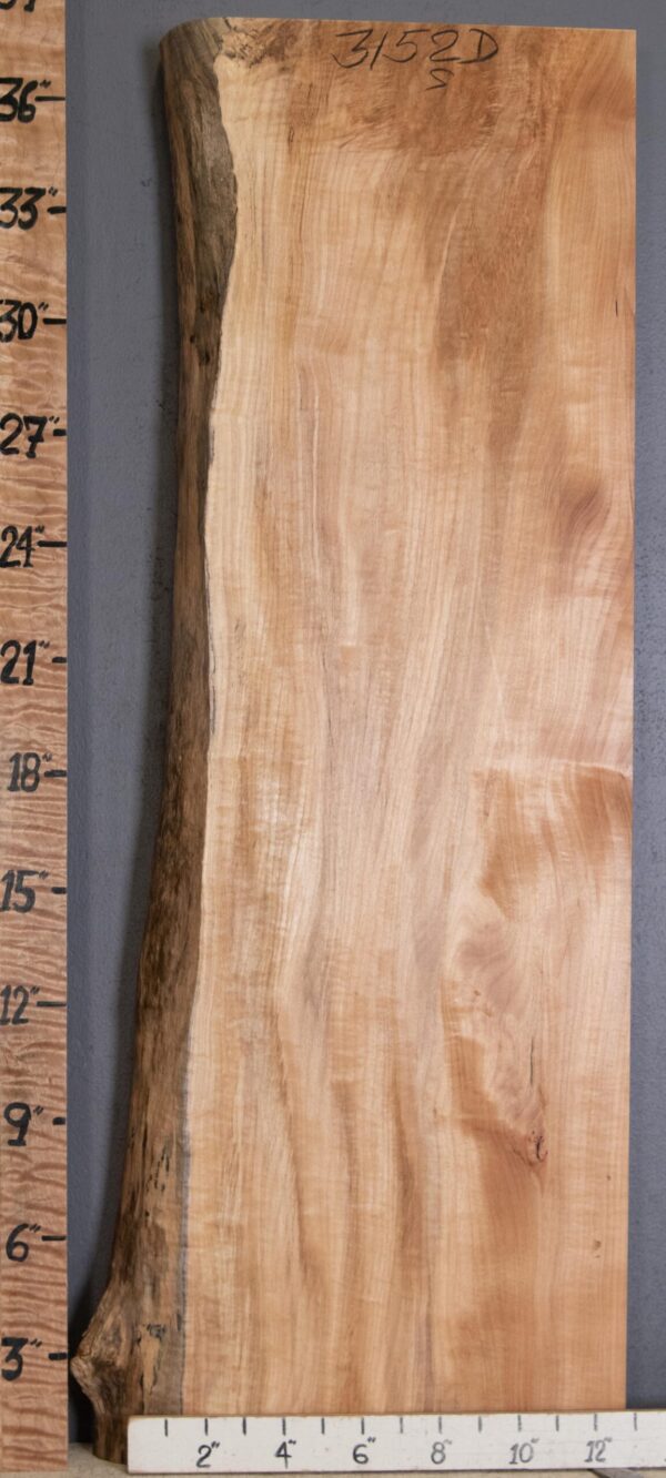 4A Block Curly Maple Lumber 12" X 37" X 3" (NWT-3152D)