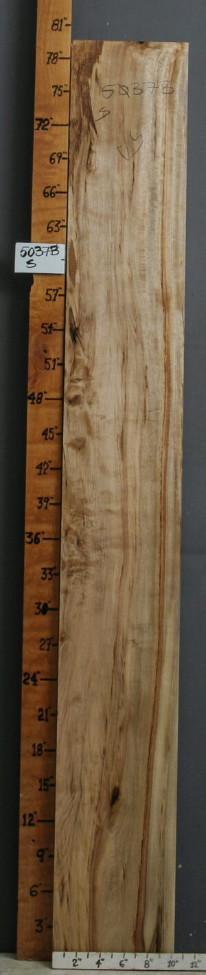 Myrtle Wood Slab, FW5840