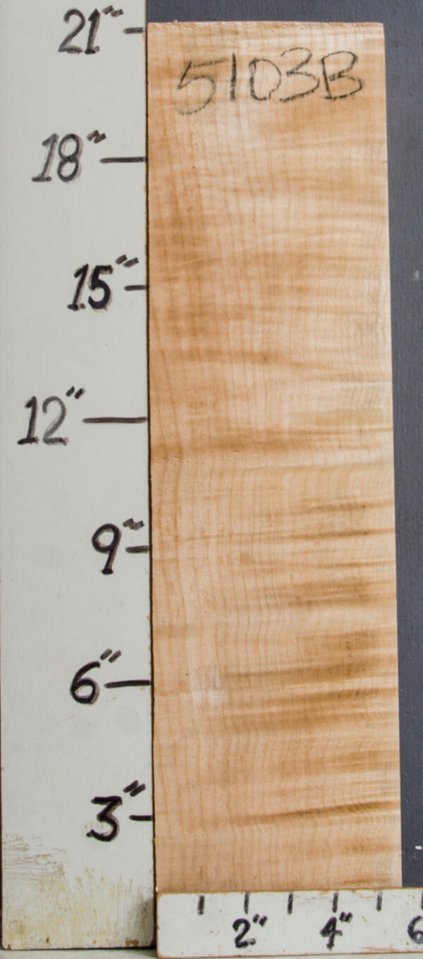 MUSICAL CURLY MAPLE BILLET 5"1/2 X 21"1/4 X 2"1/2 (NWT-B5103)