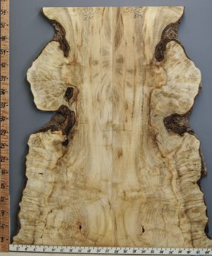5A Curly Myrtlewood Bookmatch with Live Edge 38" X 54" X 5/4 (NWT-5122C)