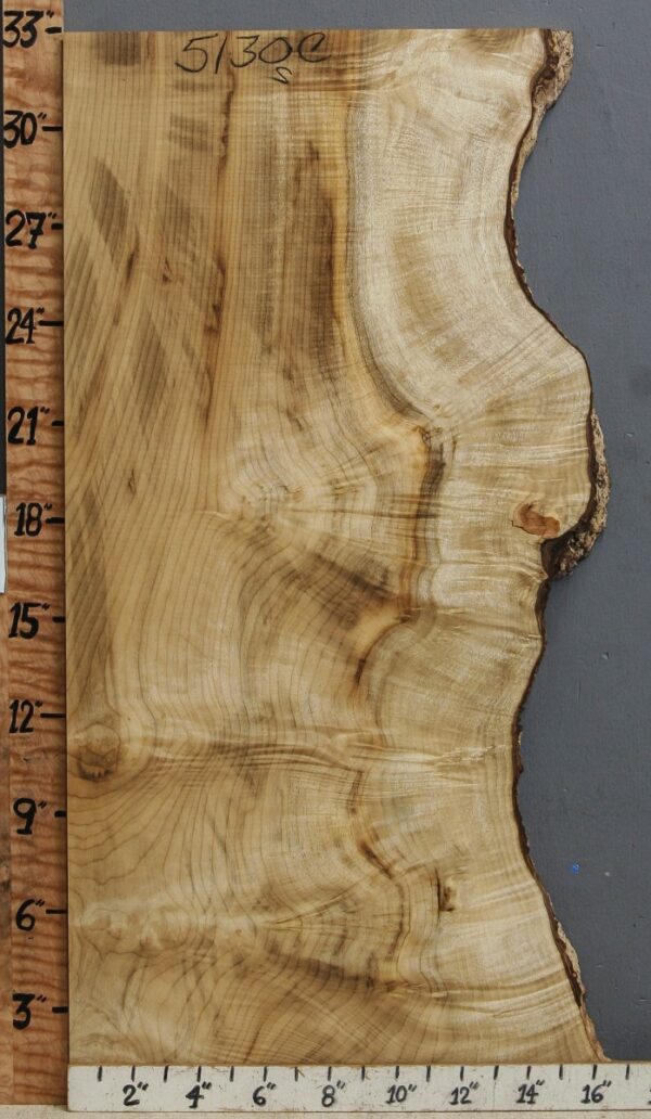 5A Curly Myrtlewood Lumber with Live Edge 16" X 32" X 5/4 (NWT-5130C)