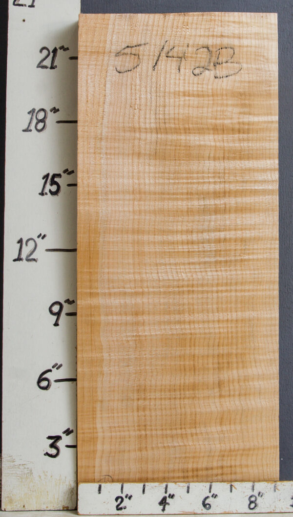 MUSICAL CURLY MAPLE BILLET 9"1/4 X 22"3/4 X 2" (NWT-B5142)