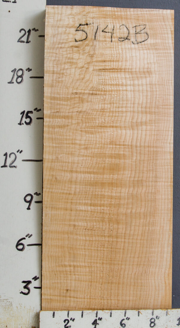 MUSICAL CURLY MAPLE BILLET 9"1/4 X 22"3/4 X 2" (NWT-B5142) - Image 2