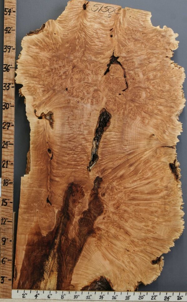 5A Burl Maple Lumber with Live Edge 26" X 45" X 2" (NWT-5150C) - Image 2