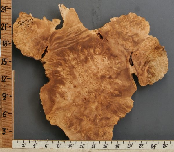 5A Burl Maple Lumber with Live Edge 27" X 24" X 1"7/8 (NWT-5169C)