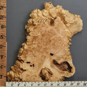5A Burl Maple Lumber with Live Edge 21" X 25" X 2" (NWT-5171C)