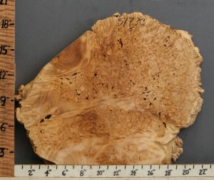 5A Burl Maple Lumber with Live Edge 22" X 19" X 1"7/8 (NWT-5173C)