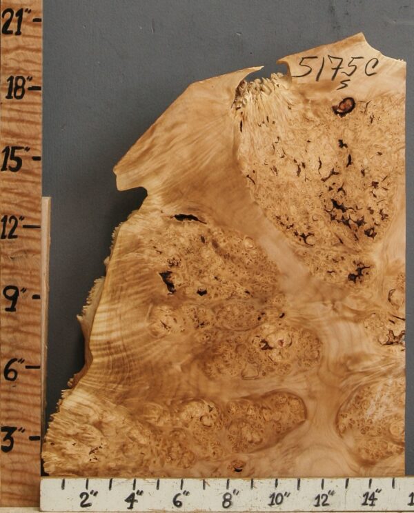 5A Burl Maple Lumber with Live Edge 15" X 18" X 2"5/8 (NWT-5175C) - Image 2