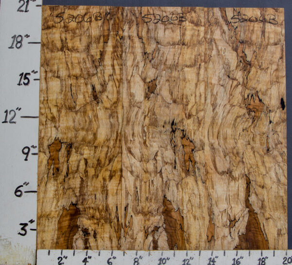 AAAAA SPALTED CURLY MAPLE MICRO LUMBER 3 BOARD SET 20" X 21" X 3/8 (NWT-5206B)