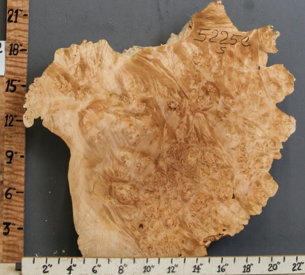 5A Burl Maple Lumber with Live Edge 18" X 20" X 3" (NWT-5225C) - Image 2