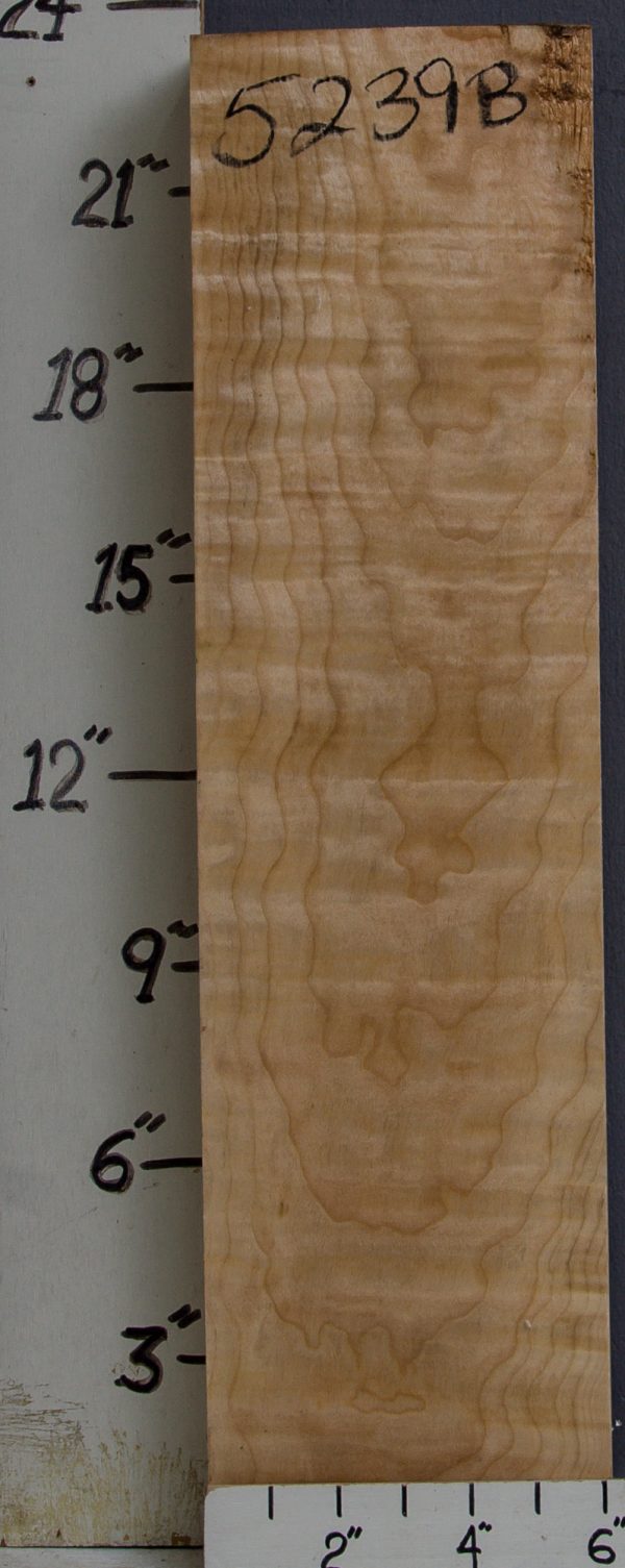 MUSICAL CURLY QUILTED MAPLE BILLET 6"1/8 X 23" X 2"1/2 (NWT-5239B)