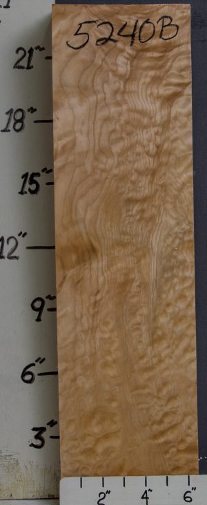 MUSICAL QUILTED MAPLE BILLET 6"1/2 X 23" X 2"1/2 (NWT-5240B)