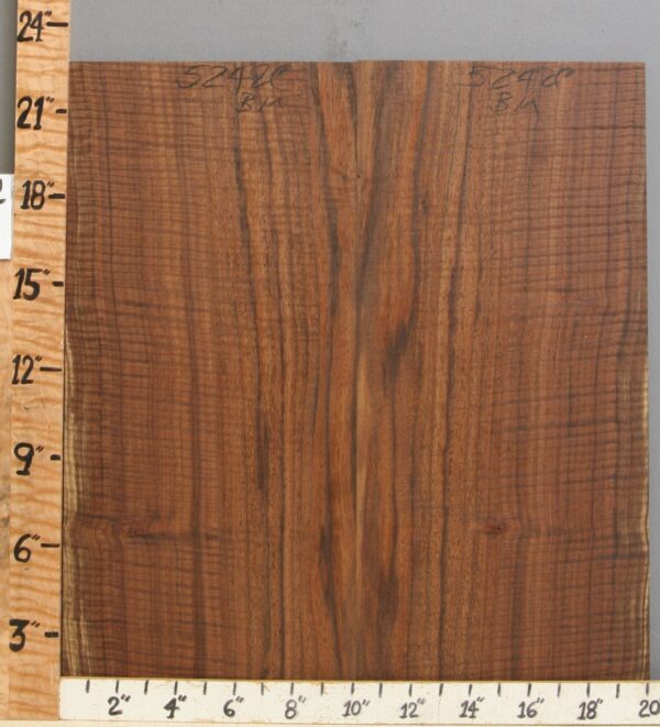 5A Curly Claro Walnut Microlumber Bookmatch 20" X 22" X 1/4 (NWT-5242C) - Image 2