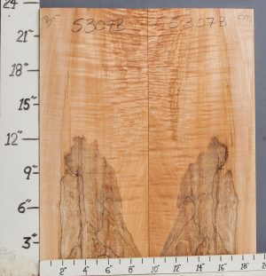 AAAAA SPALTED QUILTED MAPLE BOOKMATCH 19"1/4 X 23" X 1" (NWT-5307B)