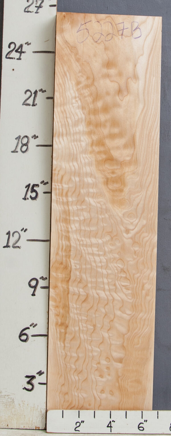 AAAAA QUILTED MAPLE BLOCK 6"3/4 X 26" X 1"5/8 (NWT-5327B)