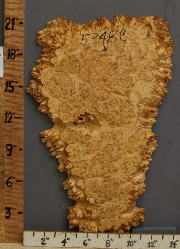 5A Burl Maple Microlumber with Live Edge 13" X 21" X 7/8 (NWT-5348C)