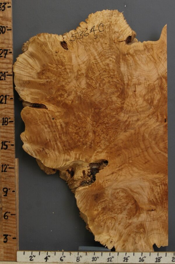 5A Burl Maple Lumber with Live Edge 20" X 32" X 2" (NWT-5364C) - Image 2