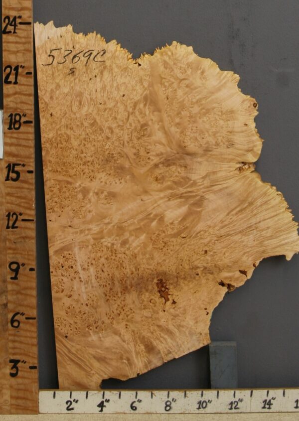 5A Burl Maple Microlumber with Live Edge 15" X 23" X 7/8 (NWT-5369C) - Image 2