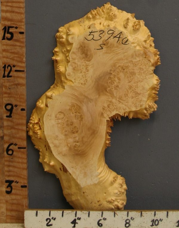 5A Burl Maple Lumber with Live Edge 9" X 16" X 1"1/8 (NWT-5394C)