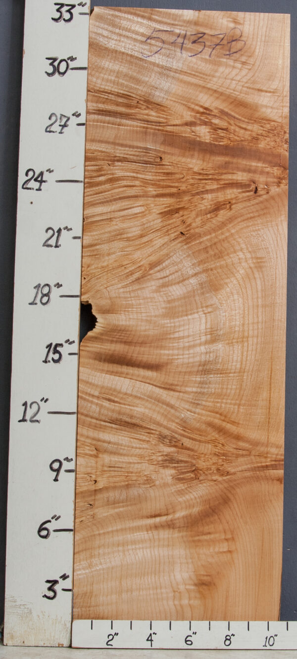 AAAAA CURLY BURL MAPLE MICROLUMBER 10"5/8 X 33" X 3/4 (NWT-5437B)