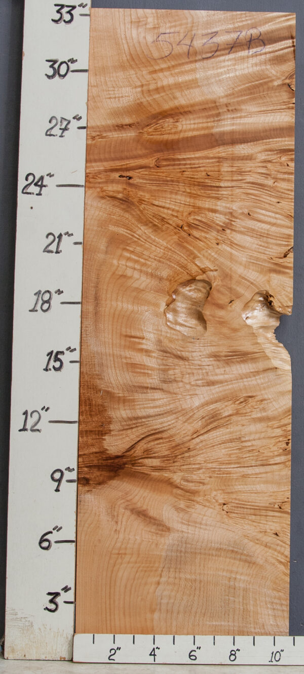 AAAAA CURLY BURL MAPLE MICROLUMBER 10"5/8 X 33" X 3/4 (NWT-5437B) - Image 2