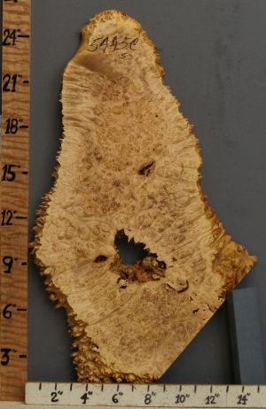 5A Burl Maple Lumber with Live Edge 12" X 24" X 1" (NWT-5445C)