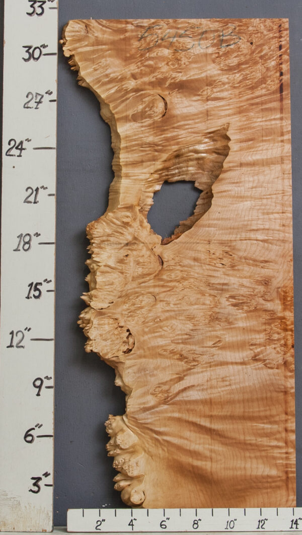 AAAAA BURL MAPLE MICROLUMBER WITH LIVE EDGE 10" X 32" X 3/4 (NWT-5450B)